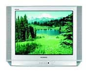 Телевизор Samsung CS-25D8WTR