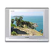 Телевизор Samsung 21A11MHQ