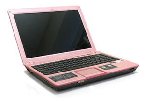 Ноутбук Sony Vaio VGN-C2SR