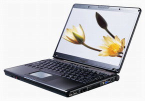 Ноутбук MSI S310