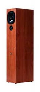 Акустическая система Audio Pro Evidence E.5