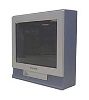 Телевизор Panasonic TC-15PM11RQ