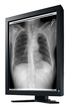 LCD монитор Eizo RadiForce GS310-CLP 3MP mono