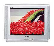 Телевизор Samsung CS-29V5WTR