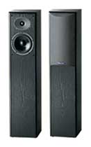 Акустическая система Cerwin-Vega! RL-16T