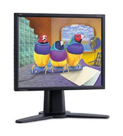 LCD монитор Viewsonic VP211b