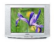 Телевизор Samsung CS-29U2R