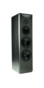 Акустическая система Meridian DSP5500 MkII-RW