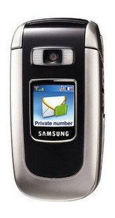 Смартфон Samsung SGH-D730