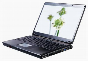 Ноутбук MSI S300