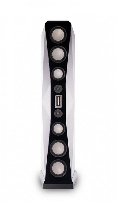 Von Schweikert Audio Ultra 11