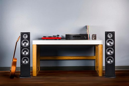 Напольные акустические системы Polk Audio T50