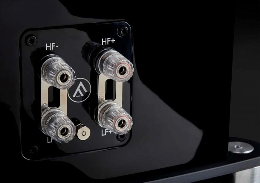 Напольные акустические системы Fyne Audio F501SP