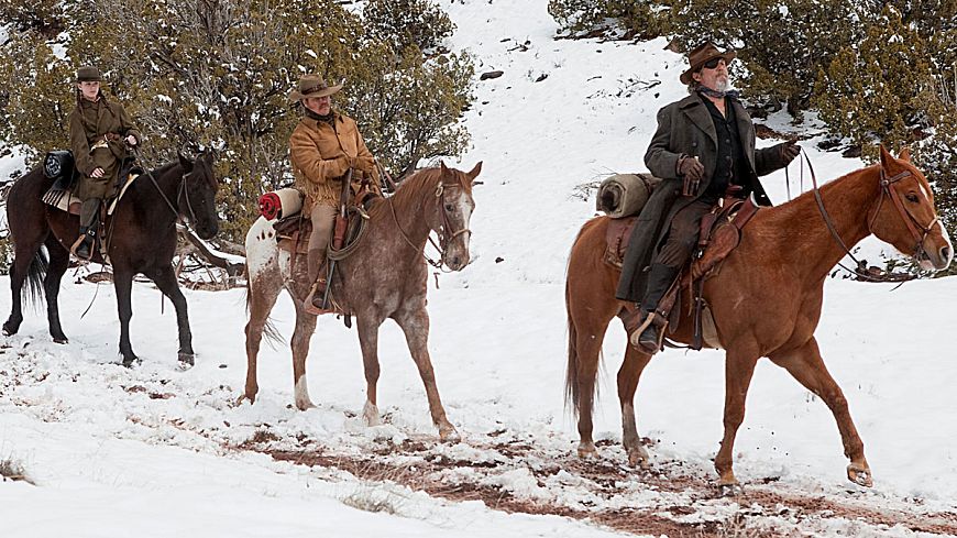 Железная хватка / True Grit (2010)